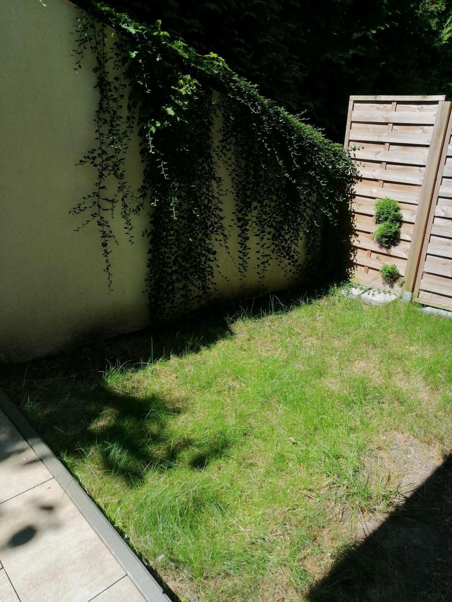 שצ'צ'ין Apartament Jasne Blonia מראה חיצוני תמונה